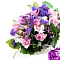 Коллеге