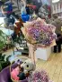 Радужный букет